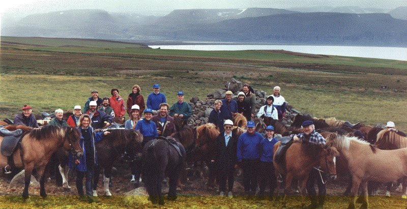 Icelandic Horses